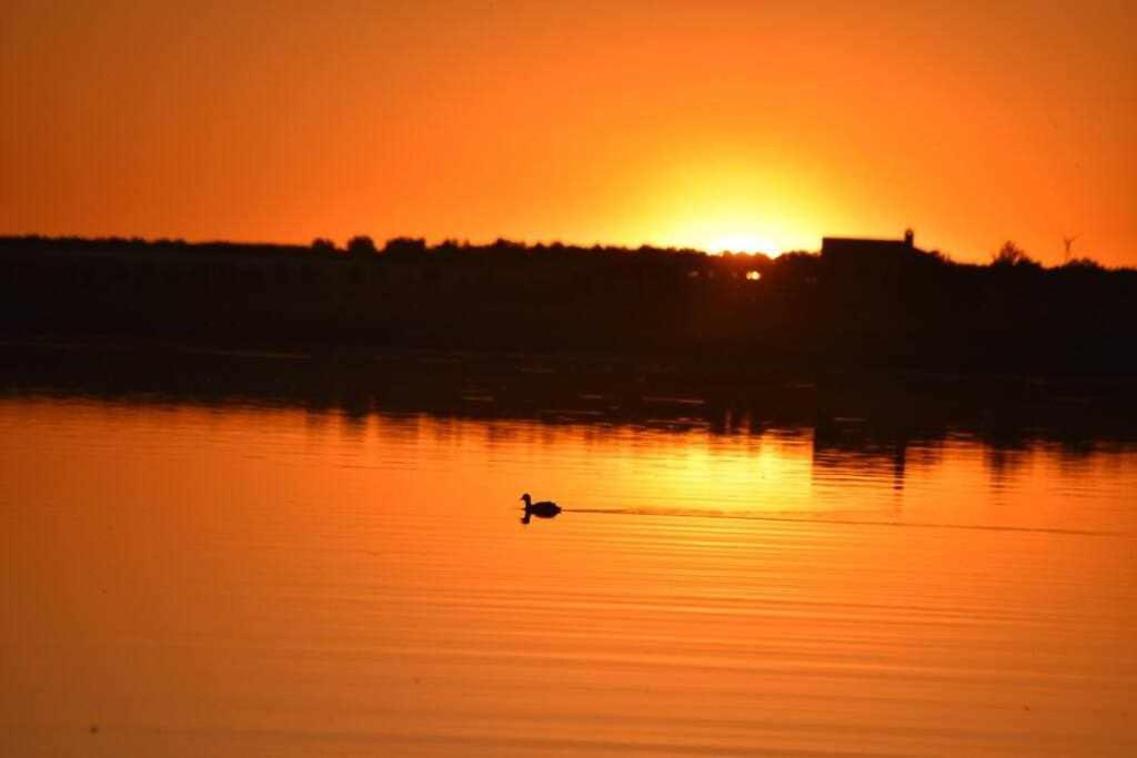 Alojamiento El Pez Casa Con Piscina Climatizada Villafranca de los Caballeros Bagian luar foto